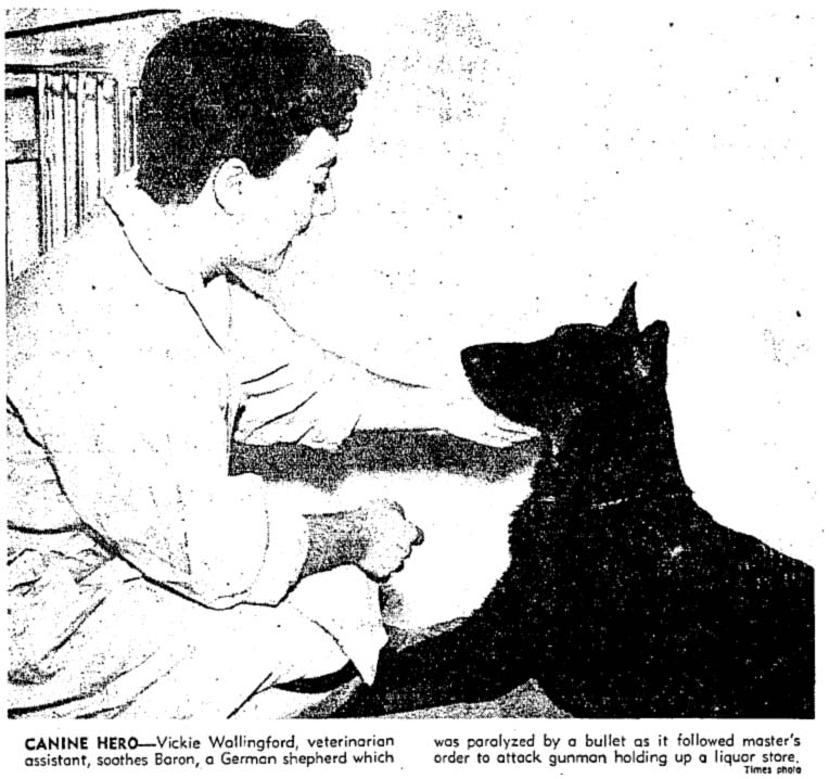 December 12, 1957: Woman posing with Baron the dog
