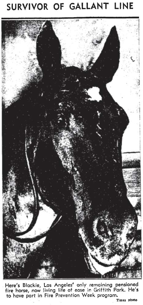 October 1, 1937: Blackie was the Fire Department's last horse, put out to pasture in Griffith Park