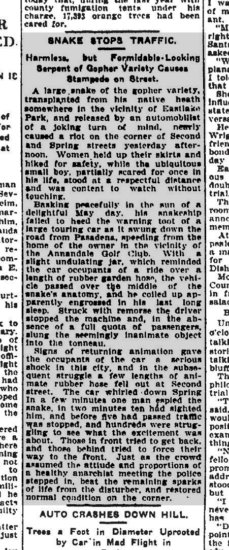May 30, 1908: A large gopher snake causes a frenzy in downtown Los Angeles. 