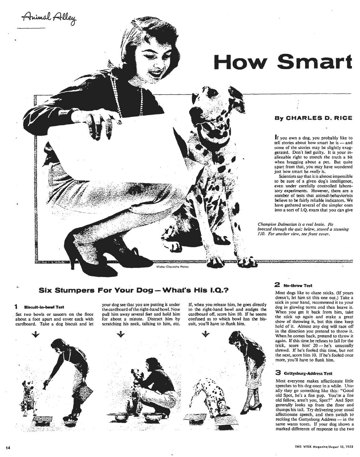 August 10, 1958: Doggie IQ Test