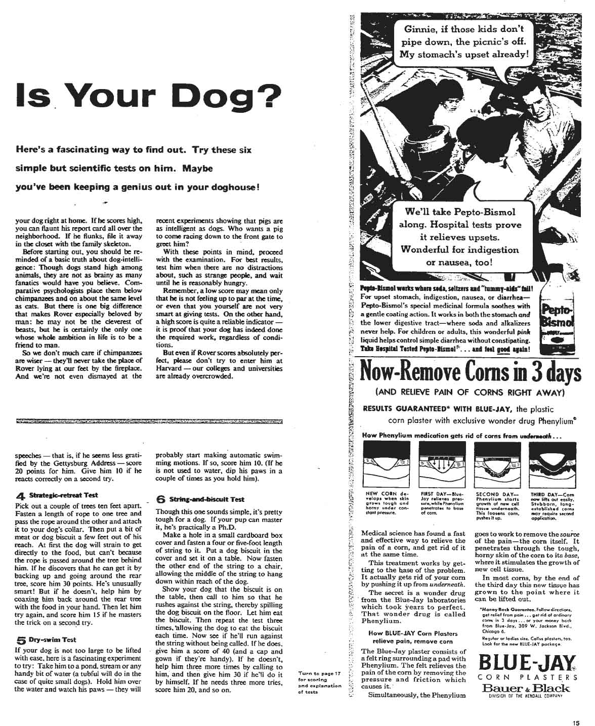 August 10, 1958: Doggie IQ Test Part 2