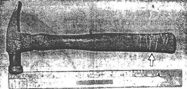 Hammer used as murder weapon
