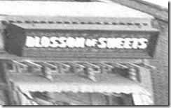 harold_lloyd_safety_blossom