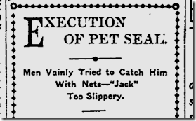 Nov. 14, 1904, Seals 