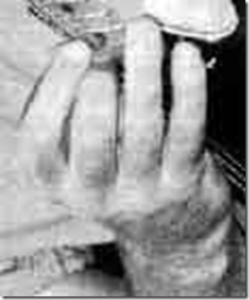 zappa_right_hand_crop