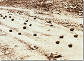 crimea_with crimea_with