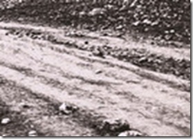 crimea_without crimea_without