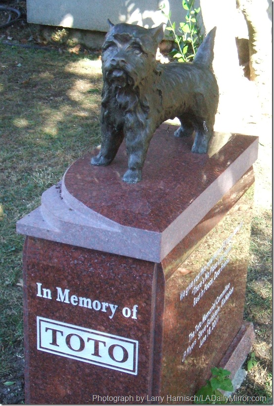 2011_1002mirror_lunch0011