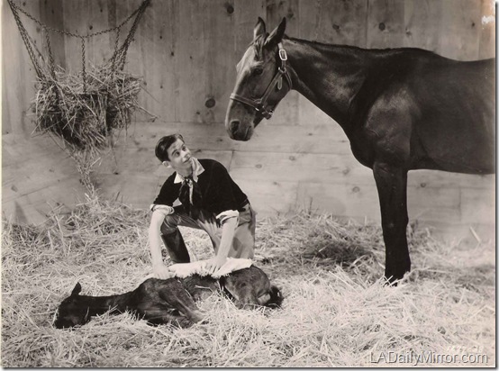 2011_1222_mystery_photo