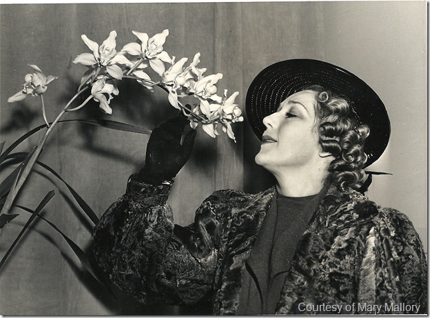 mary_pickford_flower