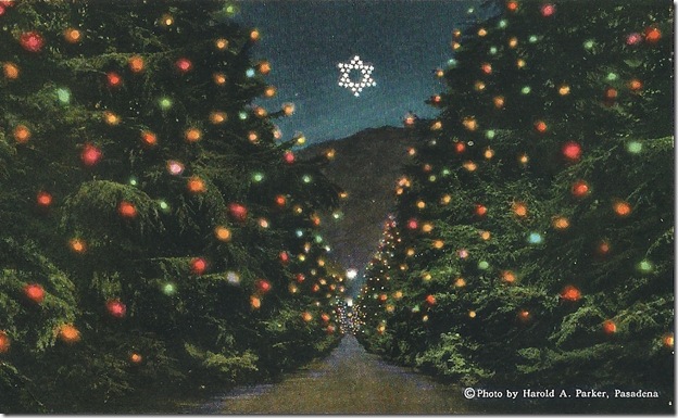 Christmas Tree Lane Christmas Tree Lane