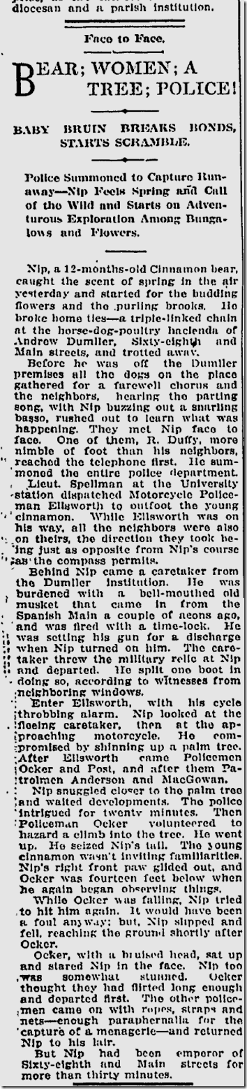 April 10, 1913, Bear Escapes 