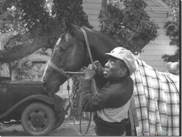 Mystery Photo Mystery Photo