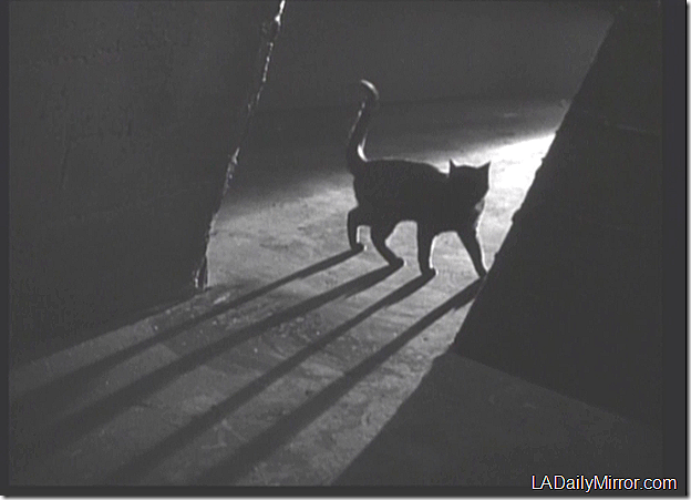 May 3, 2013, Mystery Photo 