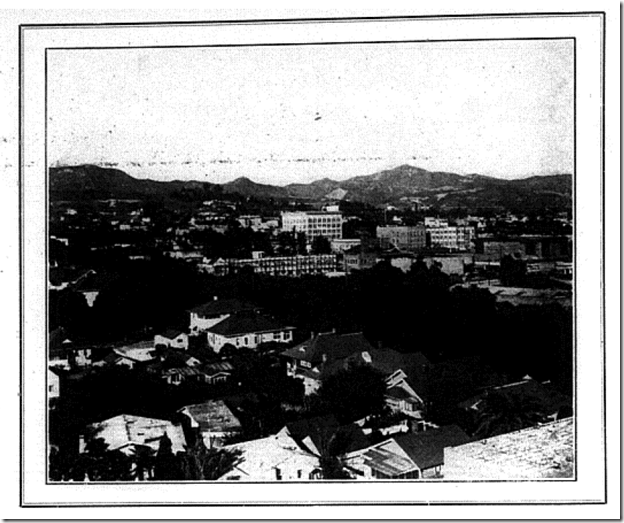 Hollywood Leaves Hollywood Leaves