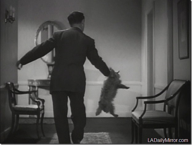 Aug. 28, 2013, Mystery Photo 