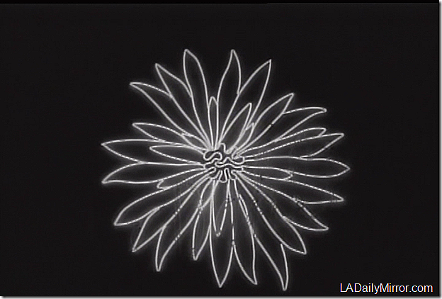 Aug. 2, 2013, Mystery Photo 