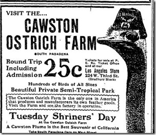 May 5, 1907, Ostrich Shriner 