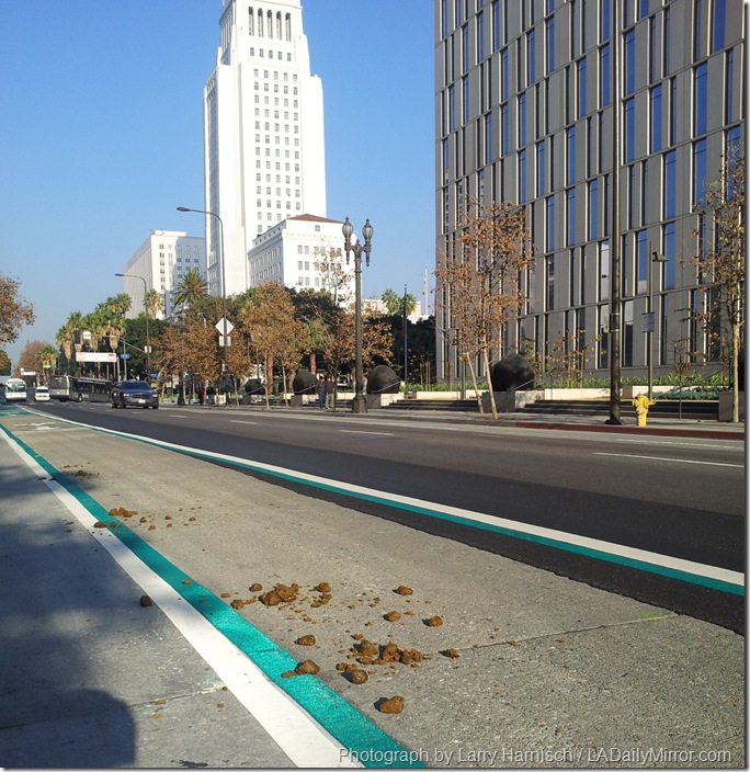 Horse Flop in Downtown Los Angeles 