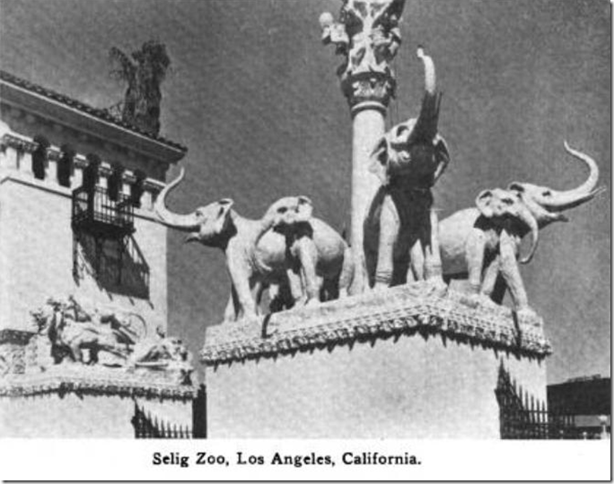 Selig Zoo Selig Zoo