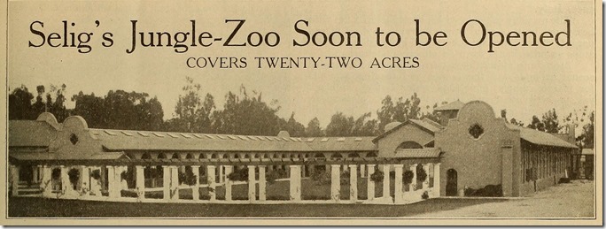 motography13elec_0585 motography13elec_0585