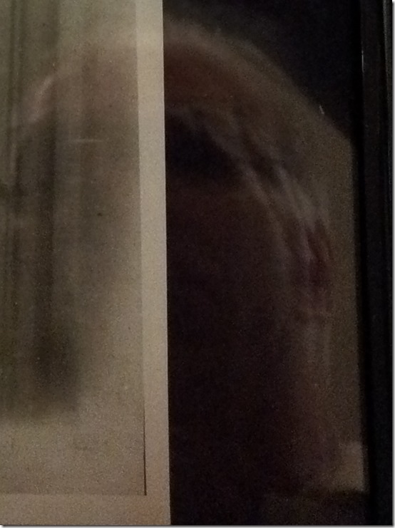 Black_Dahlia_nd_elvira