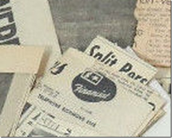 2014_0509_dahlia_clippings_ebay