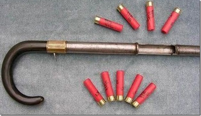 Cane Shotgun