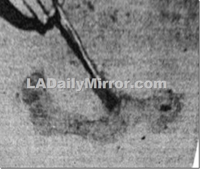 Bauerdorf bloodstain