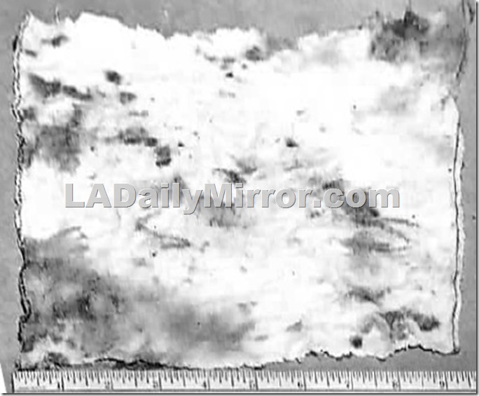 Crepe Tetra Perspective