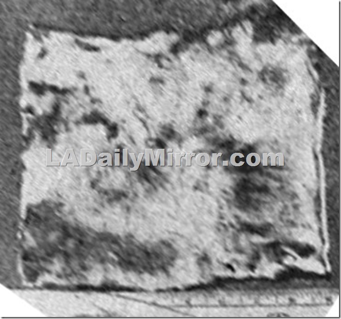 Crepe Tetra Perspective 