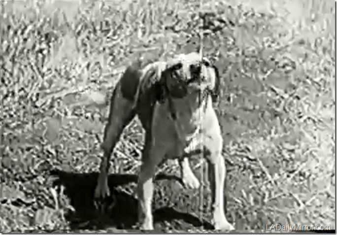 Aug. 6, 2015, Mystery Photo Aug. 6, 2015, Mystery Photo