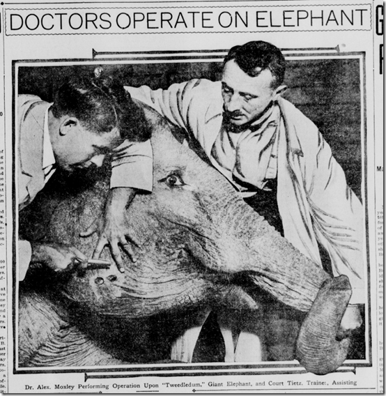 July 28, 1915, Los Angeles Herald 