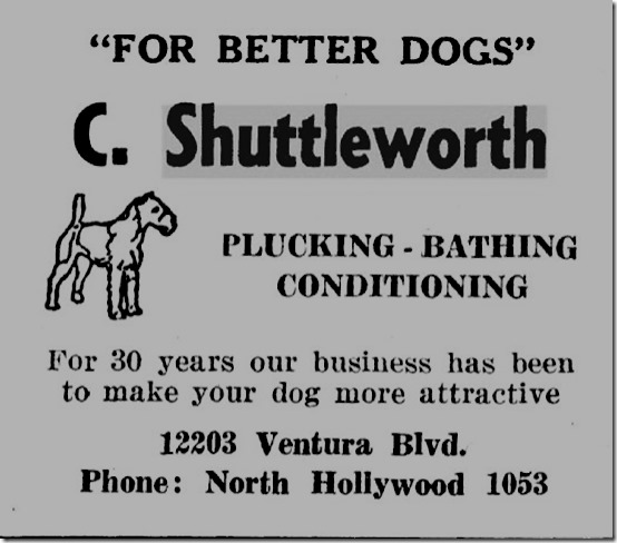 Shuttleworth Kennel Ad 1937-38 SFV Directory Shuttleworth Kennel Ad 1937-38 SFV Directory