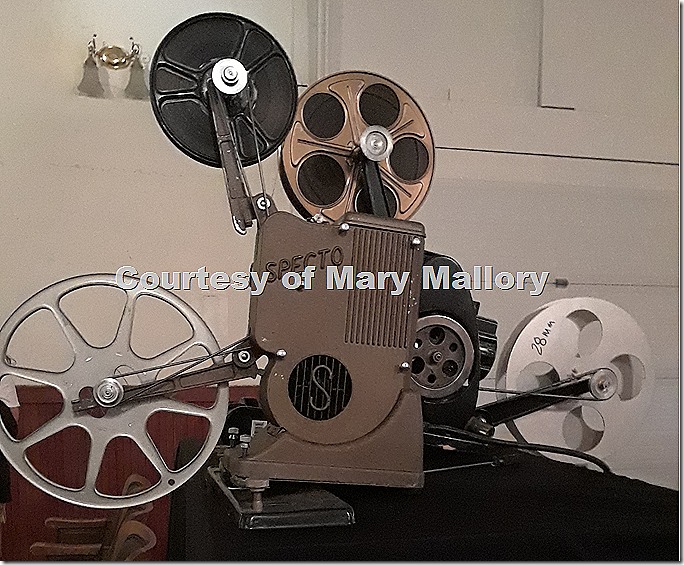 9 mm & 28 mm Projectors Niles