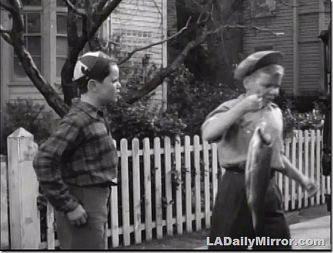 Oct. 26, 2018, Mystery Photo