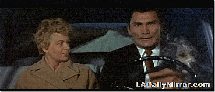 Nov. 30, 2018, Mystery Photo 