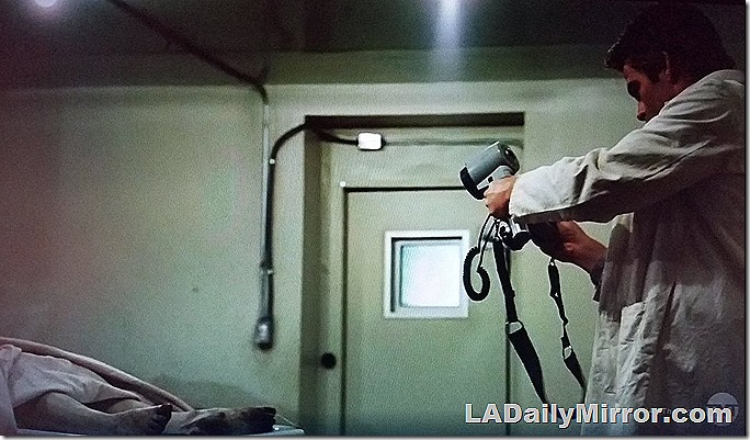 Jay Singletary --Reporter?