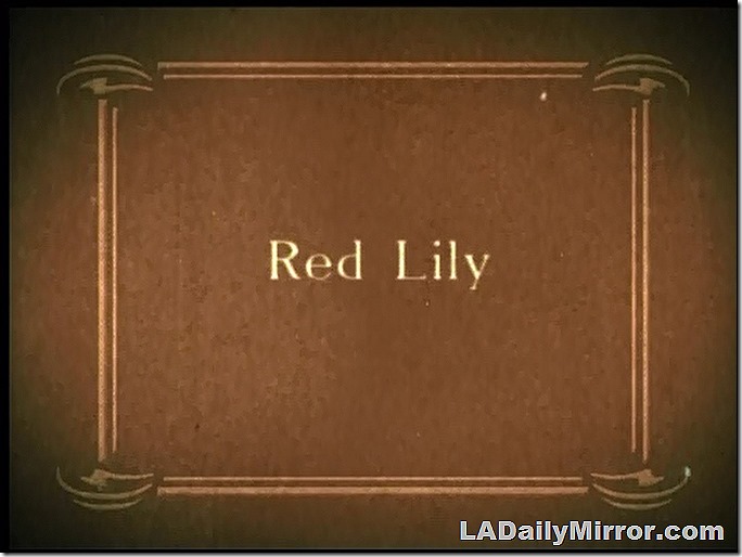 Oct. 5, 2019, Red Lily 