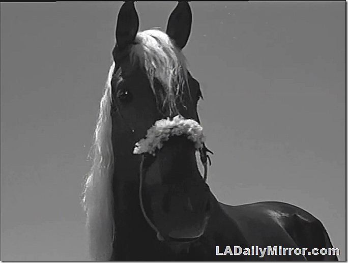 June 16, 2020, Mystery Photo 