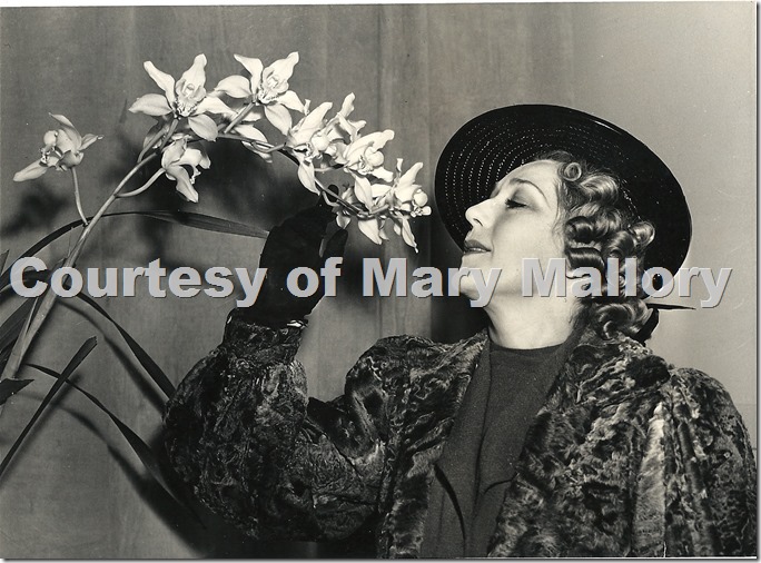 Mary Pickford Orchid