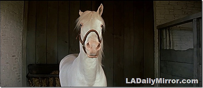 Oct. 12, 2020, Mystery Photo 