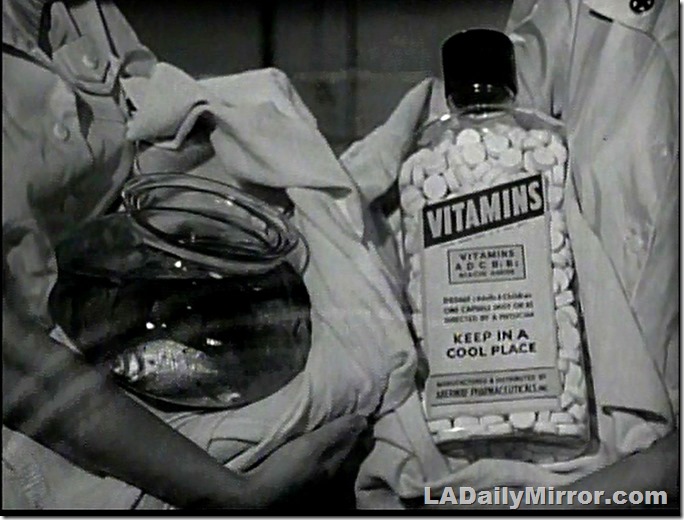 Feb. 22, 2021, Mystery Photo Feb. 22, 2021, Mystery Photo