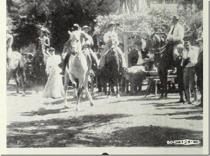 internationalpho04holl_0302