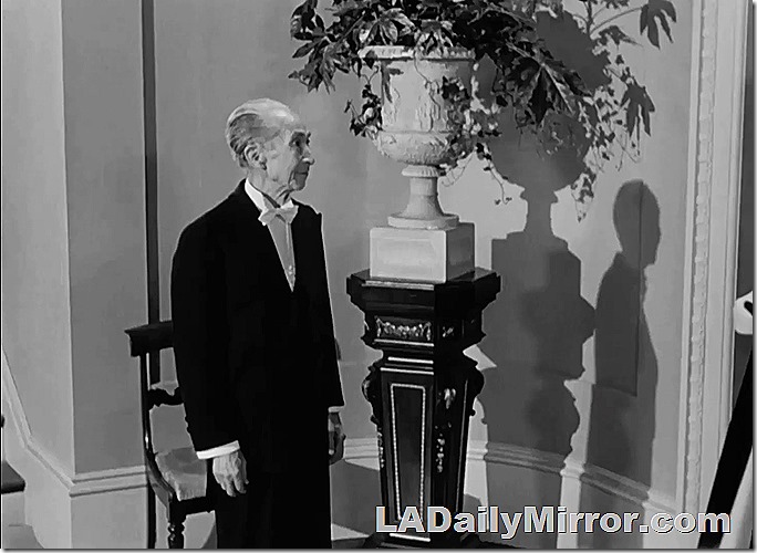 A mystery man in formal dress next to a plant on a pedestal