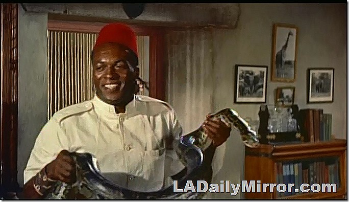 Mystery guest and mysterious reptile