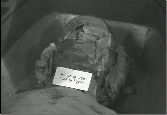 A mummy on display. The label (ON the mummy?!) says A Woman Who Lived in Egypt 