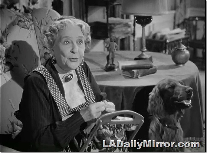 Older woman doing needlework. Her companion is an Irish setter. 