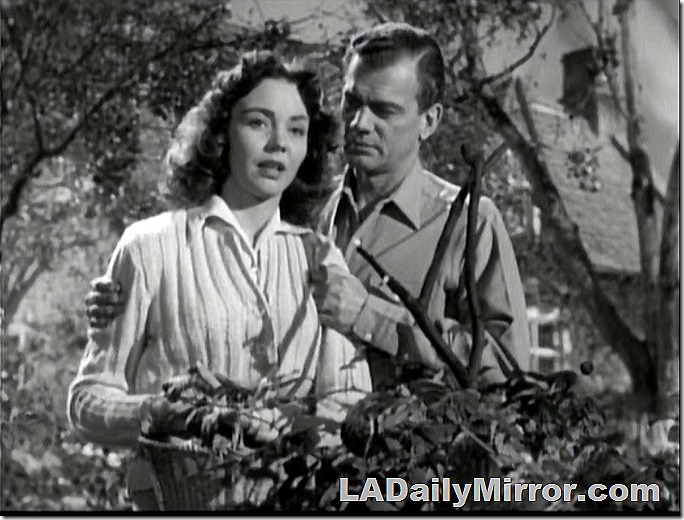 2023_1222_mystery_photo 2023_1222_mystery_photo