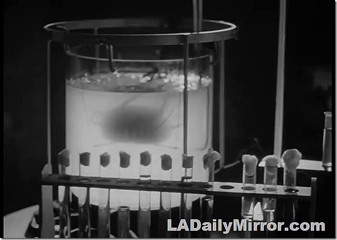 Mysterious brain doing mystery brain things in a mad scientist's laboratory. 